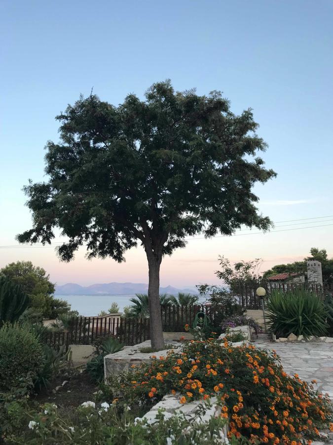 Villa Michela Scopello (Sicily) Exterior foto